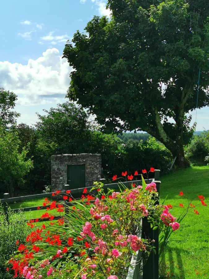 New Listing - Ladybird Cottage - Donegal - Wild Atlantic Way Donegal Town Luaran gambar