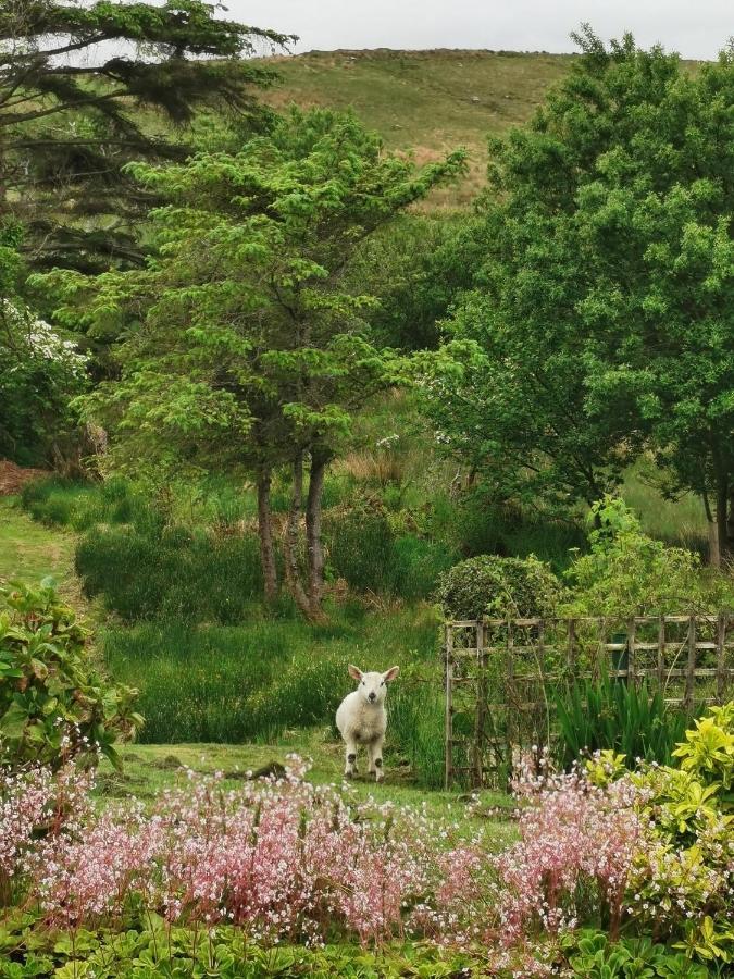 New Listing - Ladybird Cottage - Donegal - Wild Atlantic Way Donegal Town Luaran gambar