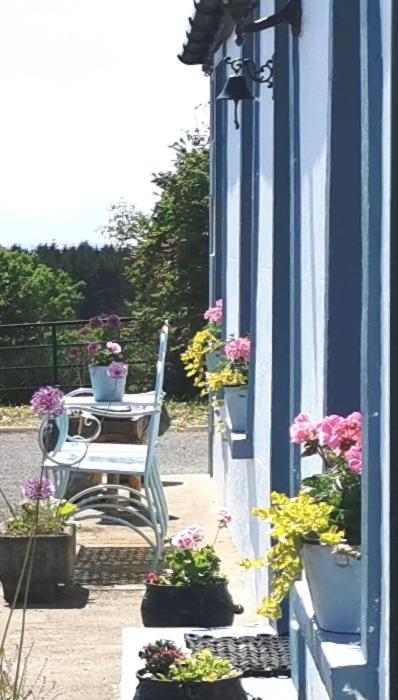 New Listing - Ladybird Cottage - Donegal - Wild Atlantic Way Donegal Town Luaran gambar